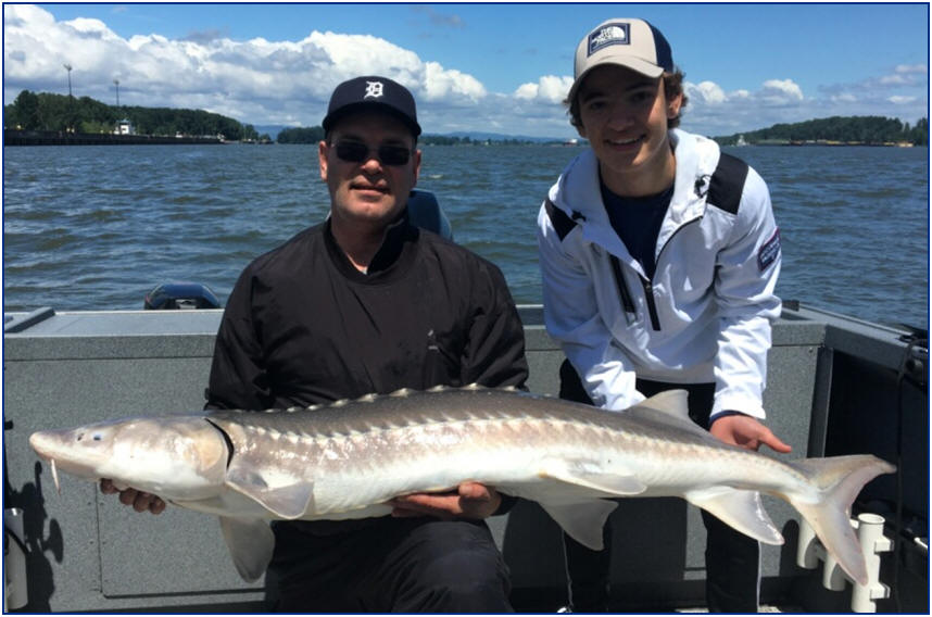 Columbia River Sturgeon Fishing Charters the best experience around