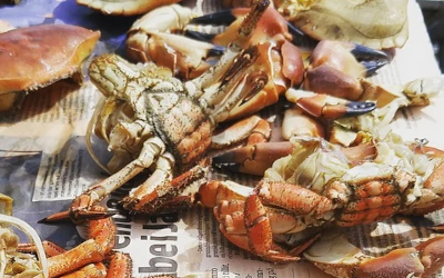 Preparing Fresh Oregon Dungeness Crab