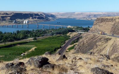 What to Learn About Columbia River Sturgeon Fishing