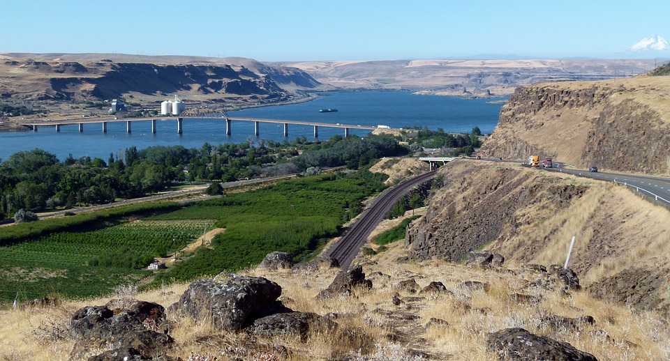 What to Learn About Columbia River Sturgeon Fishing