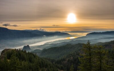 A Helpful Guide to Columbia River Walleye Fishing