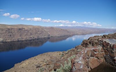 Your Guide to Columbia River Shad Fishing