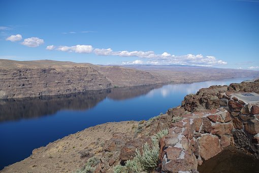 Your Guide to Columbia River Shad Fishing