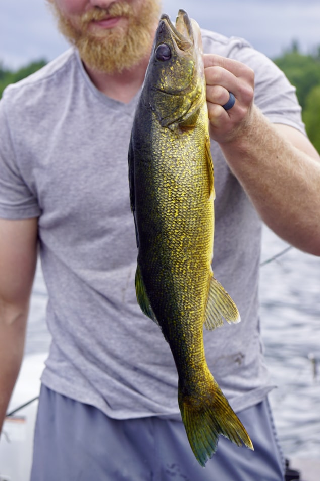 Columbia River Walleye Fishing 2