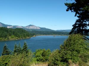 Columbia River Walleye Fishing 6