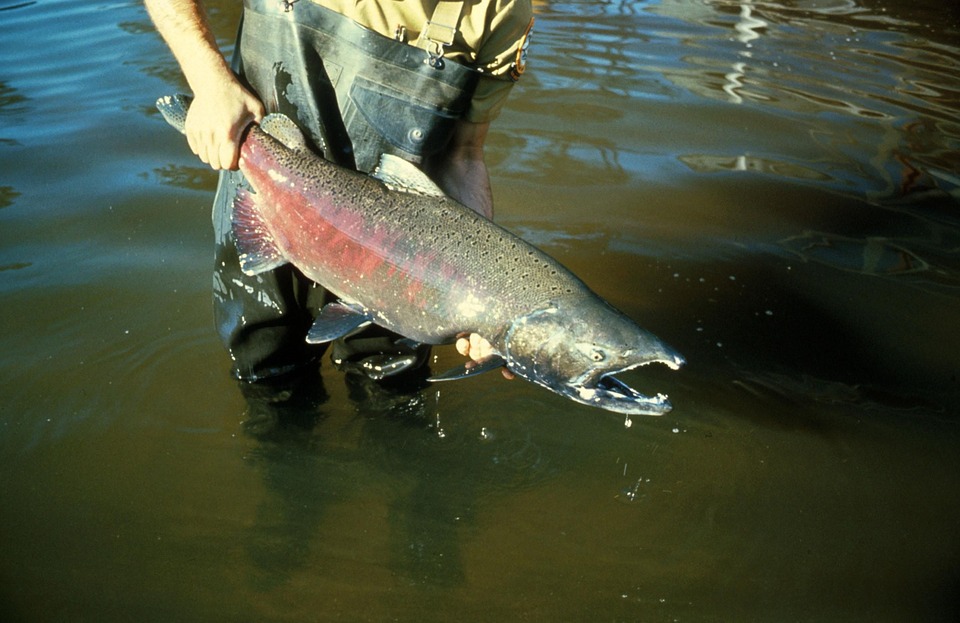 Columbia River Fishing Charter 2