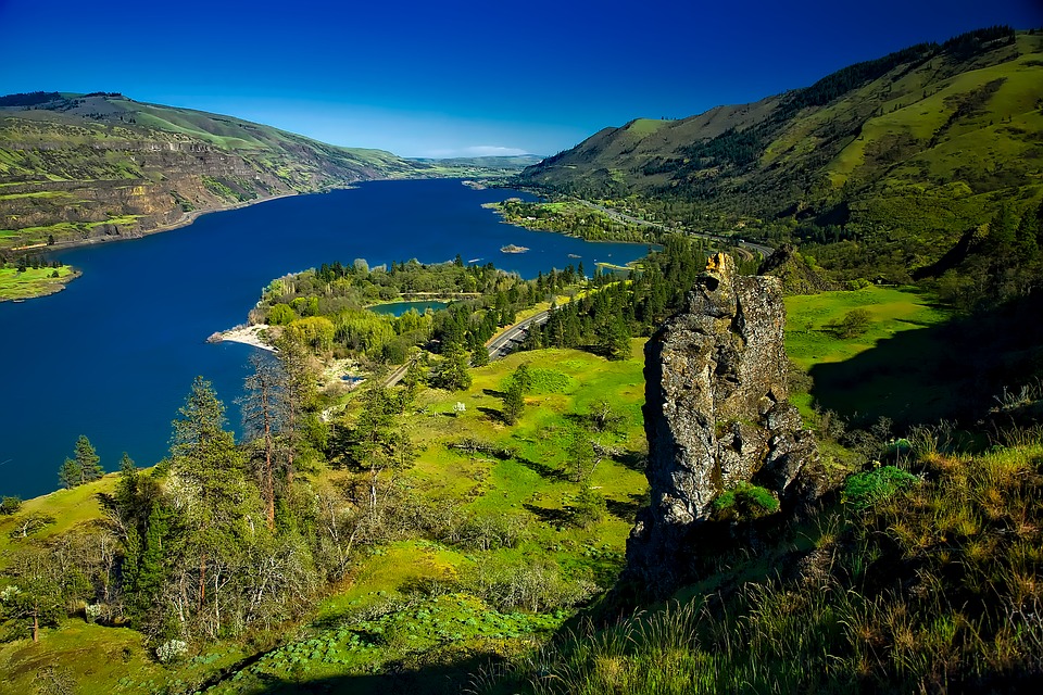 Best Fish to Catch on a Columbia River Fishing Charter