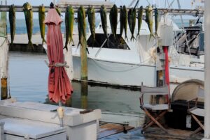 Portland Oregon Fishing Charters 6