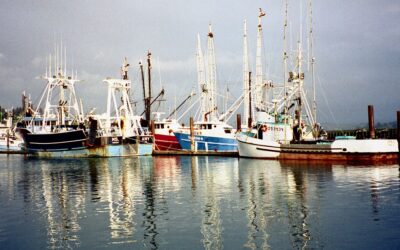 Best Locations for Oregon Deep Sea Fishing