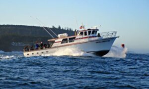 Why Choose Newport for Your Next Fishing Charter 3