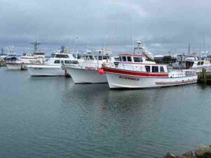 Why Choose Newport for Your Next Fishing Charter 4