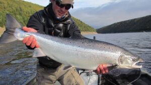 Differences in Coho and King Salmon 3