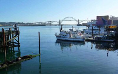 Best Tourist Sites to Visit While Fishing in Newport, Oregon