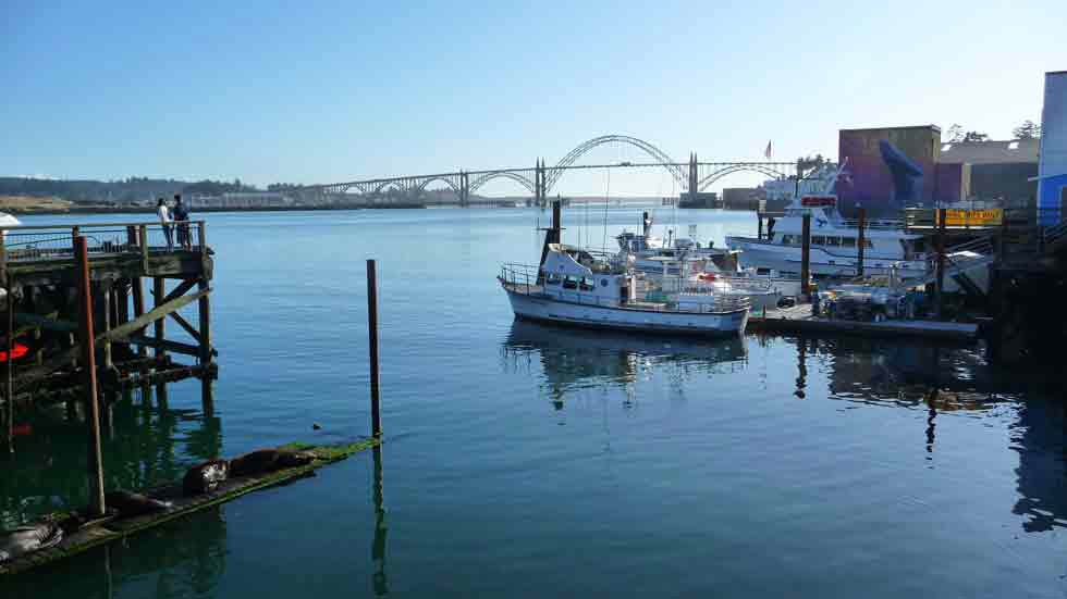 Best Tourist Sites to Visit While Fishing in Newport, Oregon