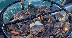 Depoe Bay Oregon Crabbing 3