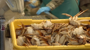 Depoe Bay Oregon Crabbing 5