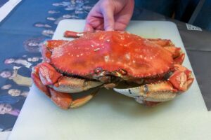 COOKING Fresh Caught CRAB While Halibut Fishing 