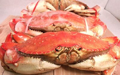 Best Ways to Prepare Dungeness Crab￼