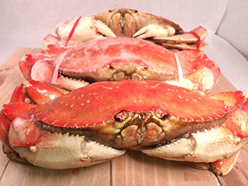 Best Ways to Prepare Dungeness Crab￼