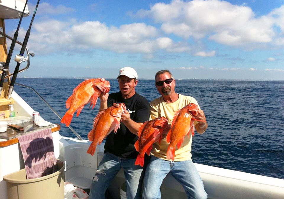 How to Prevent Sea Sickness on an Oregon Deep Sea Fishing Charter￼