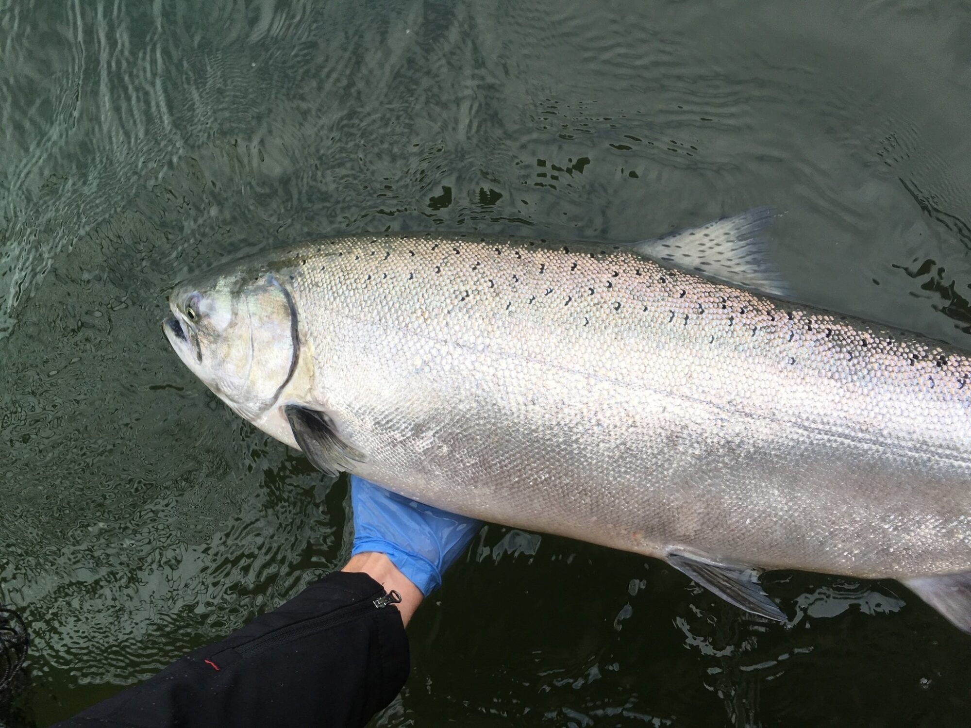 Best Fish to Catch in Lincoln City 1