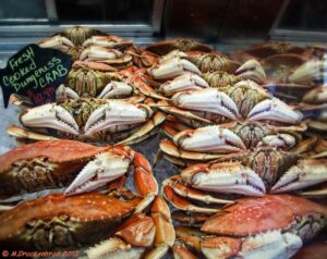 Newport Oregon Dungeness Crab Fishing 4