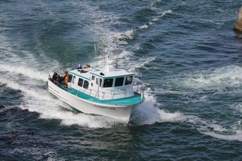 What to Learn About Oregon Deep Sea Fishing Charters￼