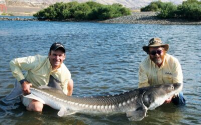 Best Techniques to Catch Giant White Sturgeon on the Columbia River