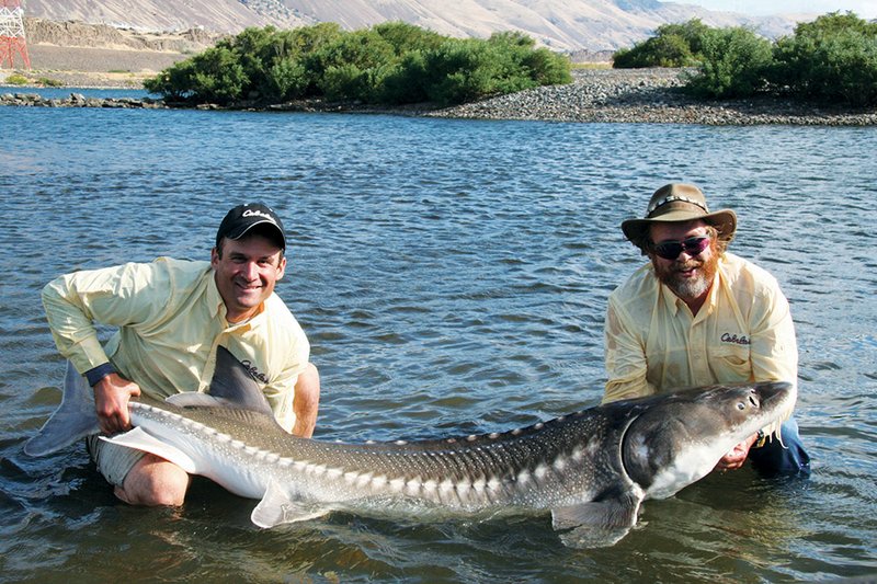 Best Techniques to Catch Giant White Sturgeon on the Columbia River