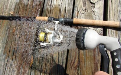 Maintain Your Fishing Gear Properly with These Tips
