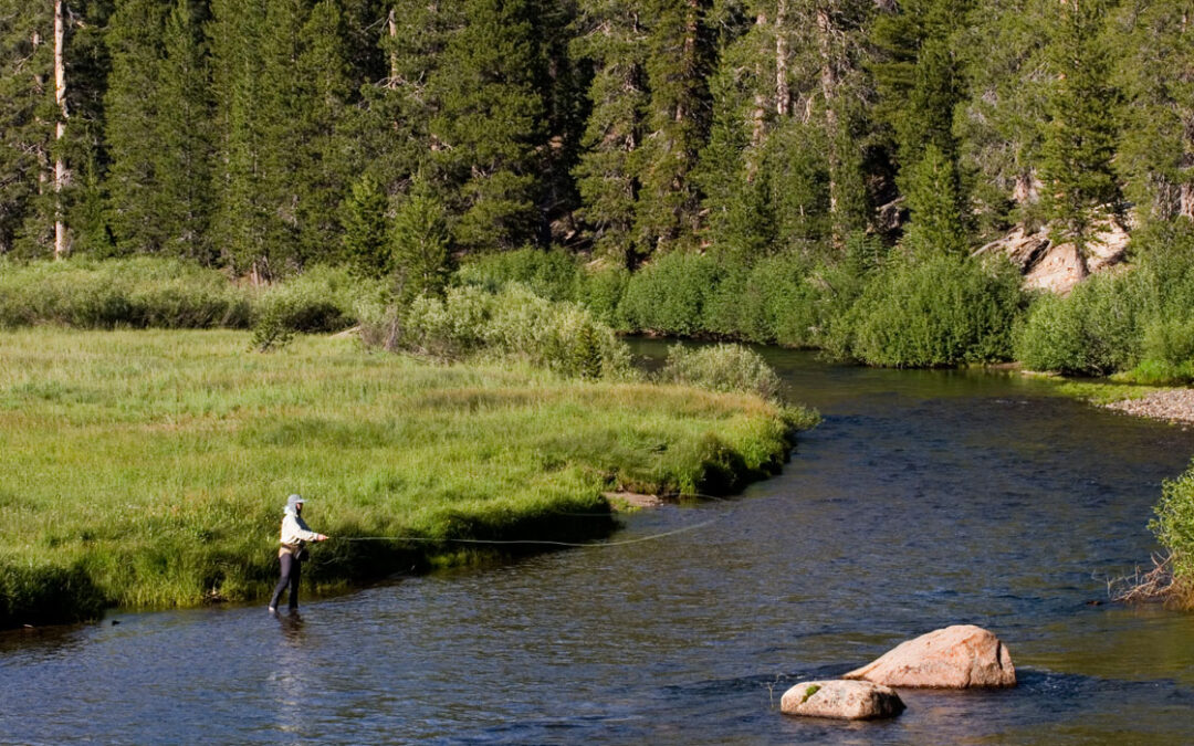 Where are the Best Places to Fly Fish in Oregon?