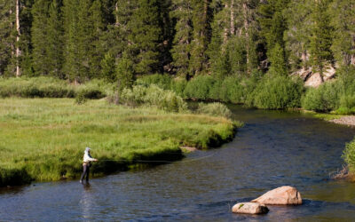 Where are the Best Places to Fly Fish in Oregon?