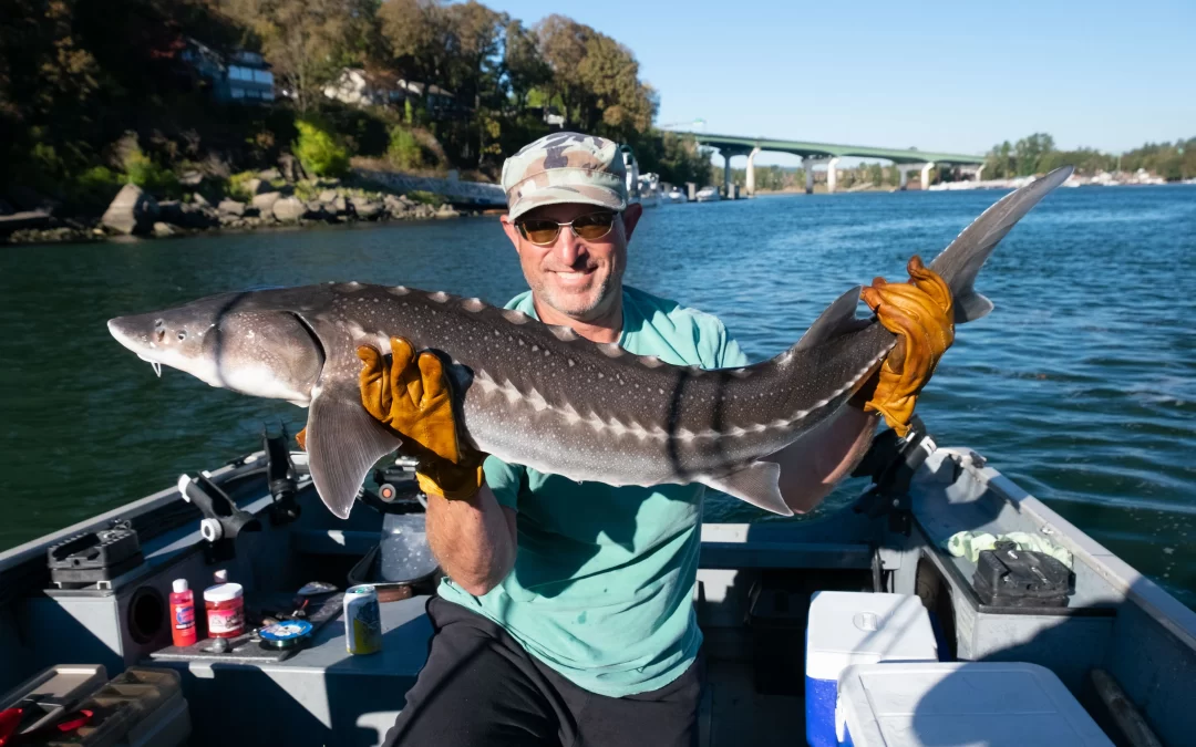 A Complete Guide to Fishing in the Willamette River