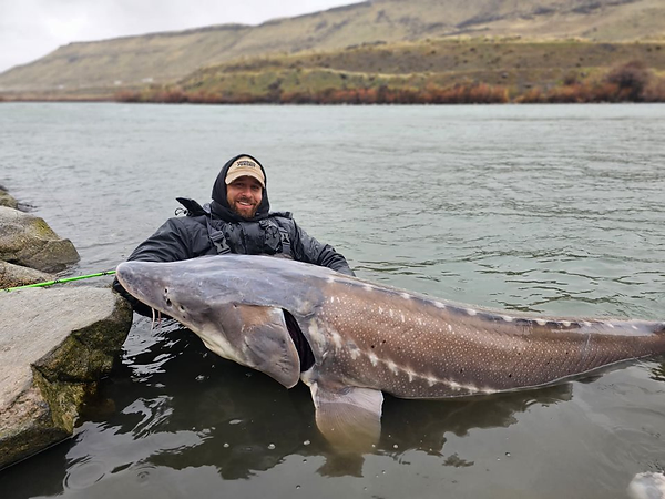 Salmon River- Lower - Sturgeon and Bass fishing has really been picking up!  - July 12, 2023