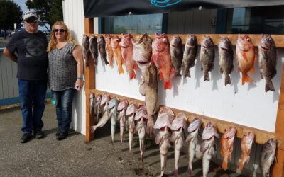 Mistakes to Avoid When Choosing a Fishing Charter in Oregon