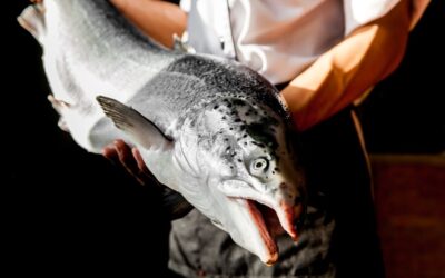 A Guide to Angling Adventures for Chinook Salmon in Depoe Bay