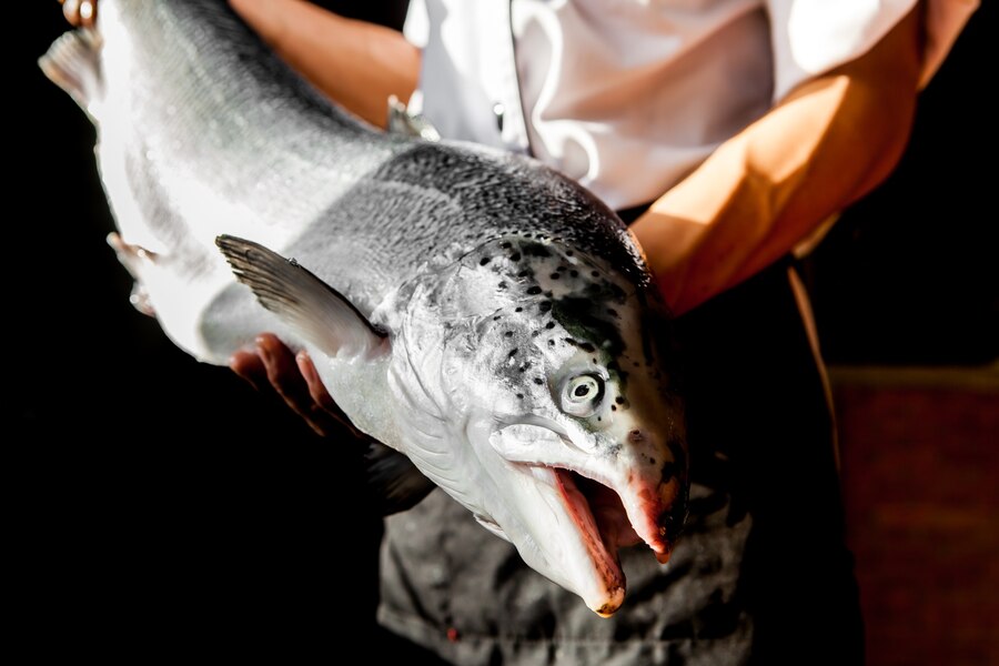 A Guide to Angling Adventures for Chinook Salmon in Depoe Bay