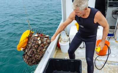 Fishing the Oregon Coast: How to Land Lingcod, Halibut, and Rockfish