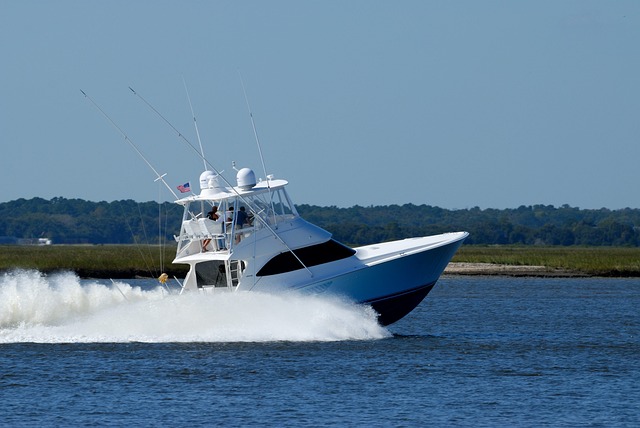 10 Must-Know Tips for a Successful Fishing Charter Adventure in Tillamook, Oregon