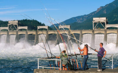 Oregon Fishing License Guide: Where to Buy & What You Need to Know