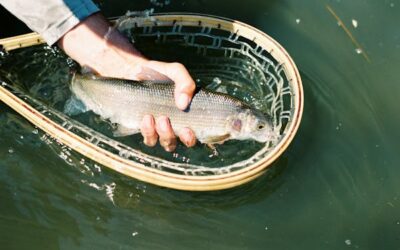 The Ultimate Oregon Fishing Bucket List: Species, Seasons, and Destinations