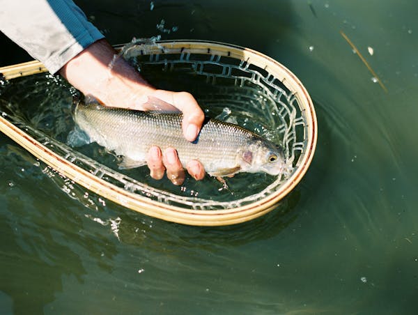 The Ultimate Oregon Fishing Bucket List: Species, Seasons, and Destinations