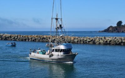 Top 10 Oregon Fishing Destinations to Visit