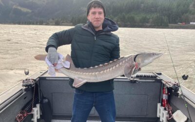 Hooking a Prehistoric Giant: Your Ultimate Columbia River Sturgeon Fishing Guide