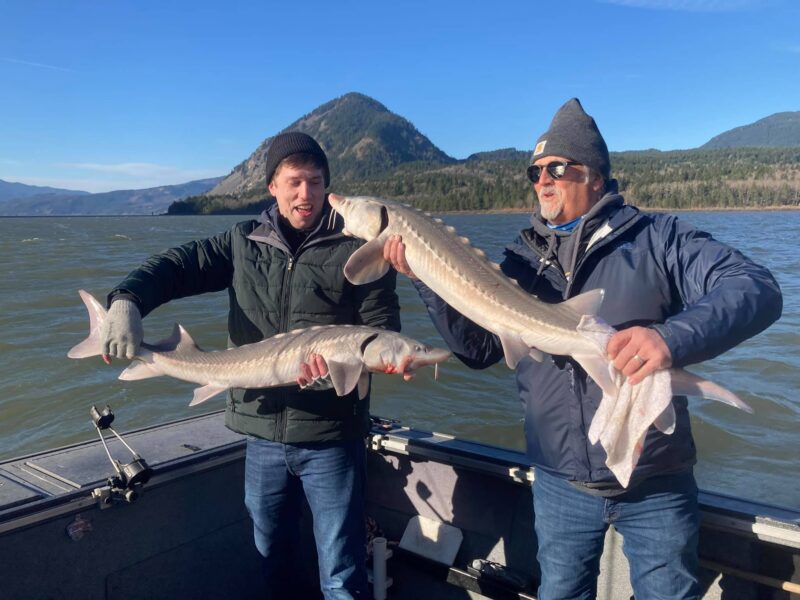 Sturgeon 2