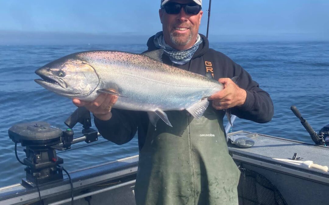 Chasing Silver: Why the Fall Coho Salmon Run is a Must-Do Trip