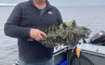 Oregon Cabezon Fishing on Nearshore Reefs – 9 Beginner Mistakes and How Guides Fix Them