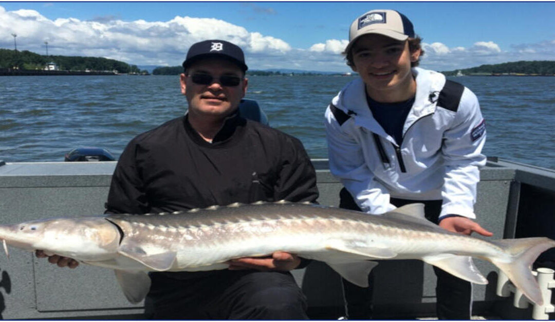 Why a Professional Guide Makes All the Difference