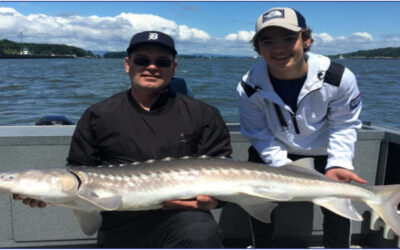 Why a Professional Guide Makes All the Difference