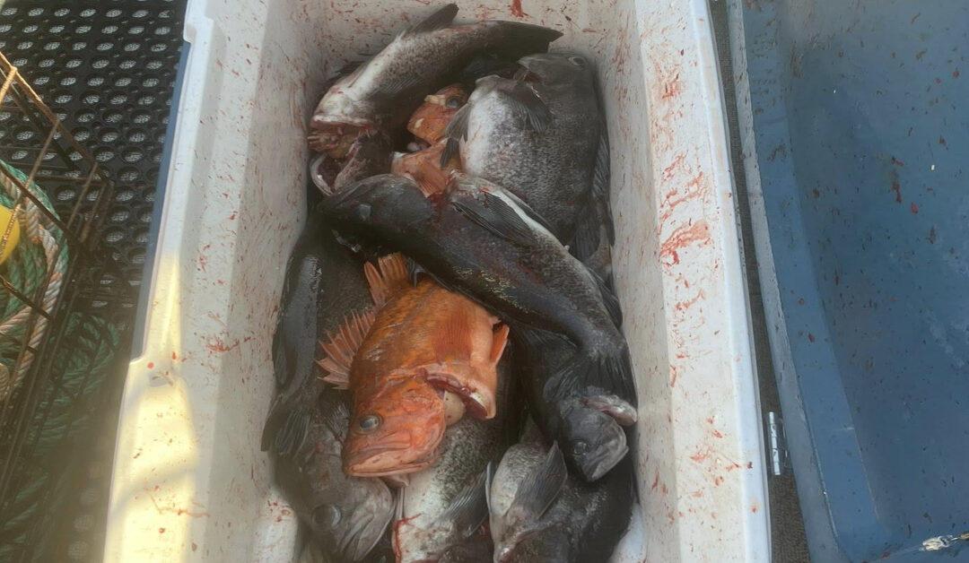 The Ultimate Oregon Fishing Bucket List